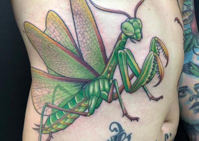 animal tattoo mantis tattoo neotraditional tattoo zurich tattoo traditional tattoo Uster tattoo studio color tattoo